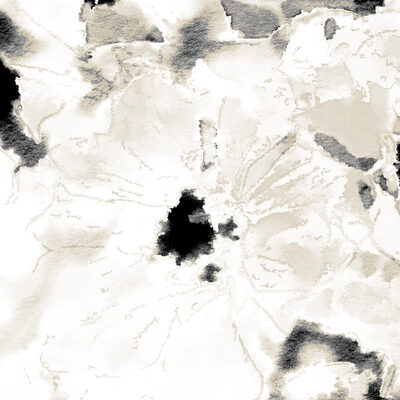 Image Not Available
